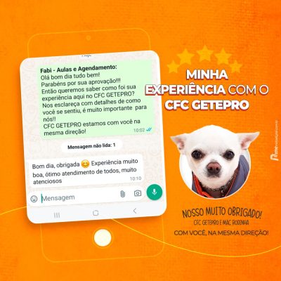 Photo by CFC getepro on July 23, 2024. May be an image of chihuahua, poster and text.